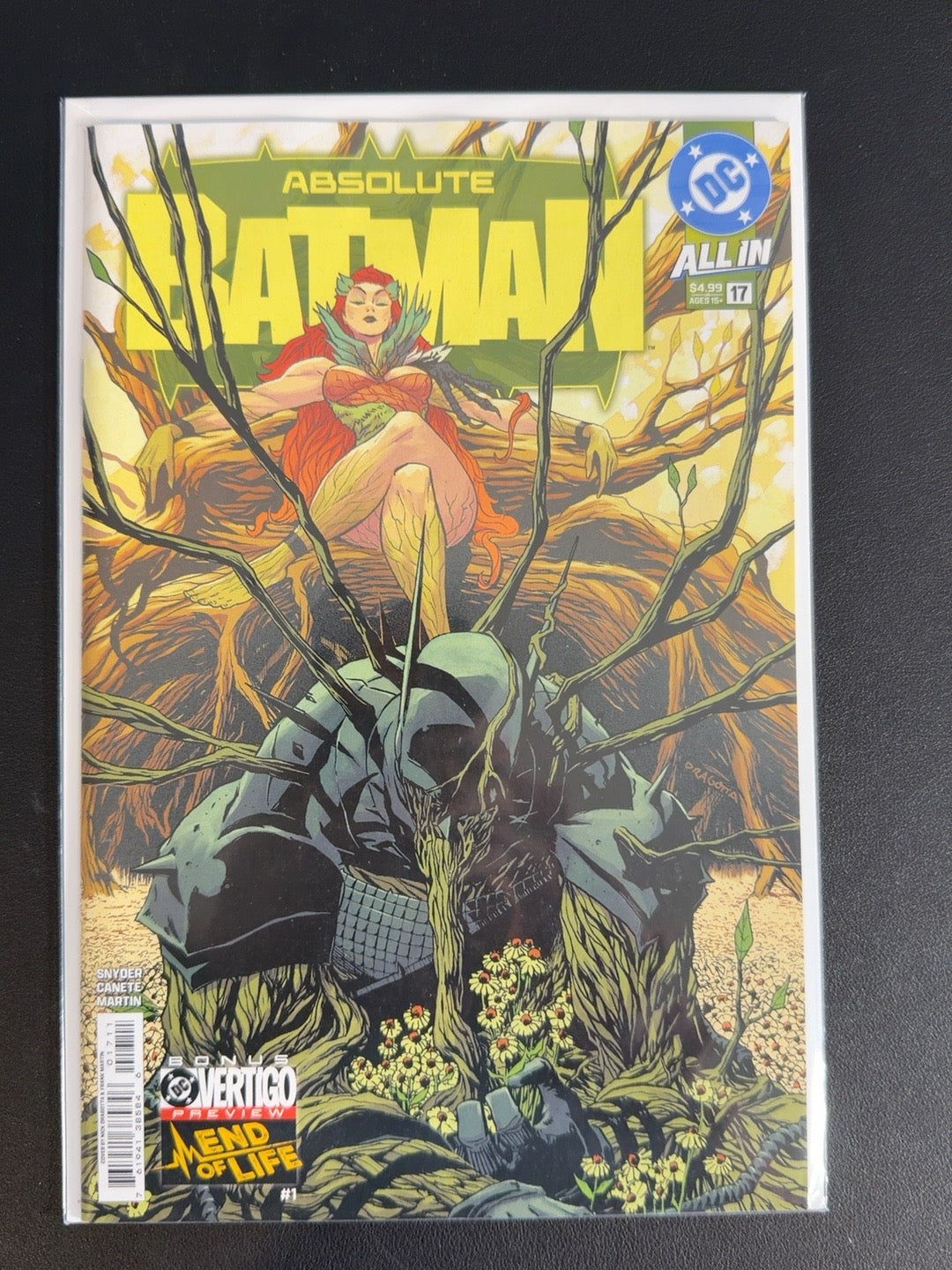 Absolute Batman #17 – Cover A – Nick Dragotta
