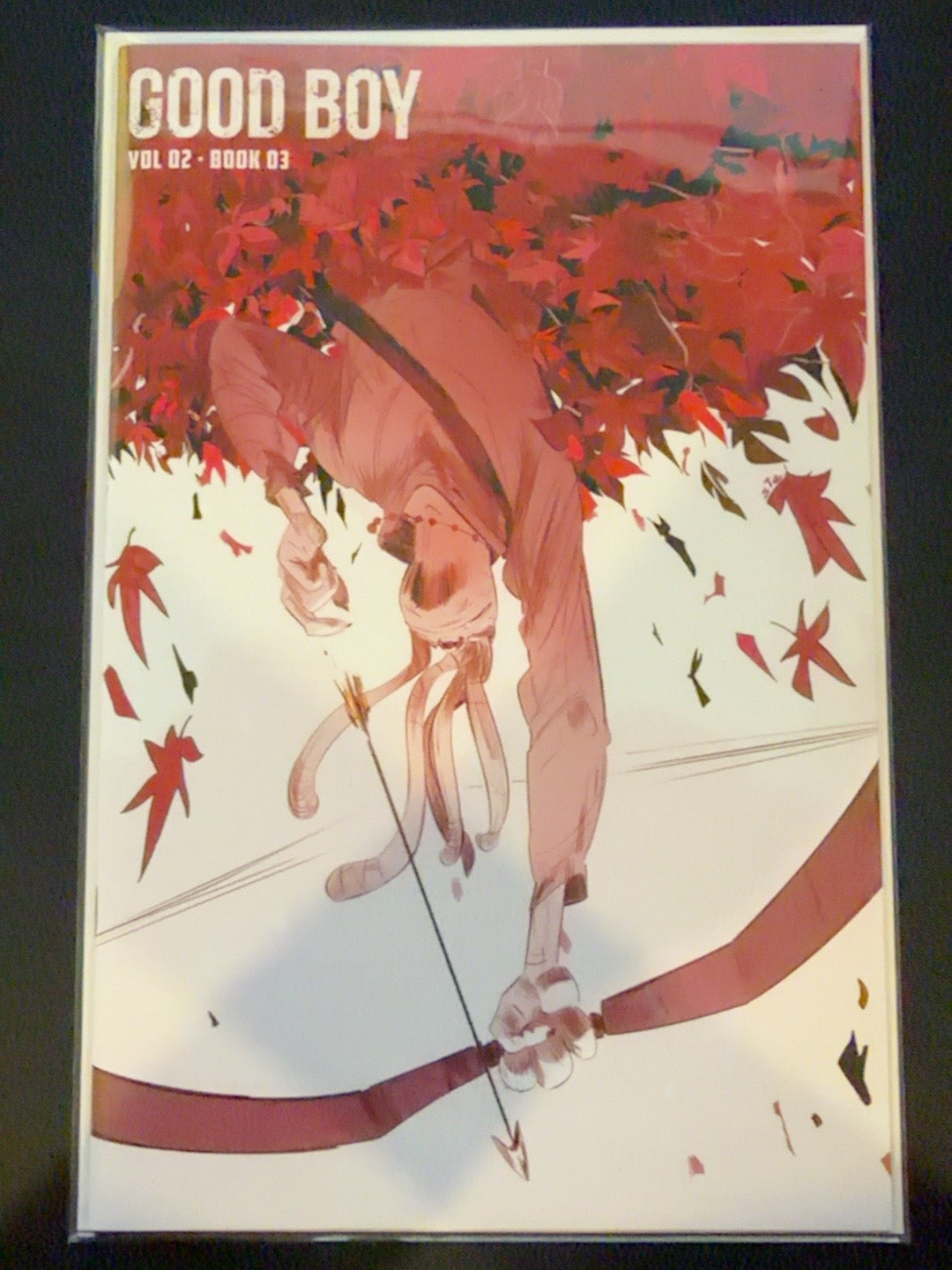 Good Boy Vol. 2 #3 Cover A Kit Wallis